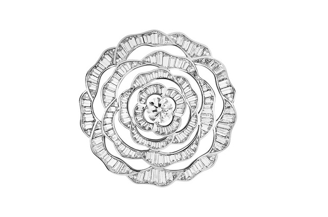 2019���Ĳ��ݴ������ݻ��鱦