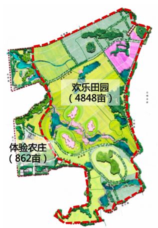 农芒粽彩系列活动告一段落让我们相约光明小镇欢乐田园的向日葵花海