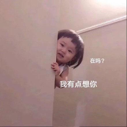 突然出现的表情包你的小可爱来啦