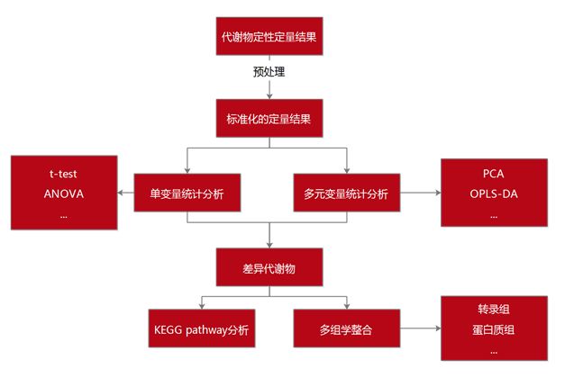 五节课轻松掌握代谢组学分析