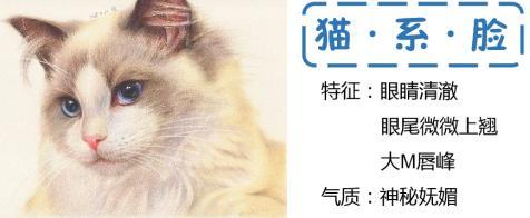 现在流行的动物脸型你了解吗猫系脸犬系脸你喜欢哪一个
