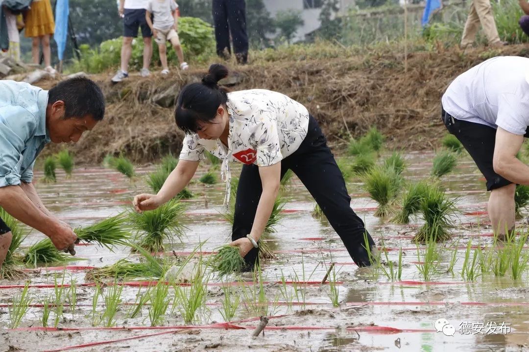 其中有国家级非物质文化遗产西河戏,有颇具地方特色的踩高跷表演,更有