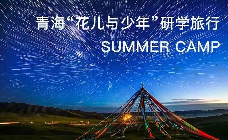 梦境中的未竟之桥，探索内心的不安与成长之路