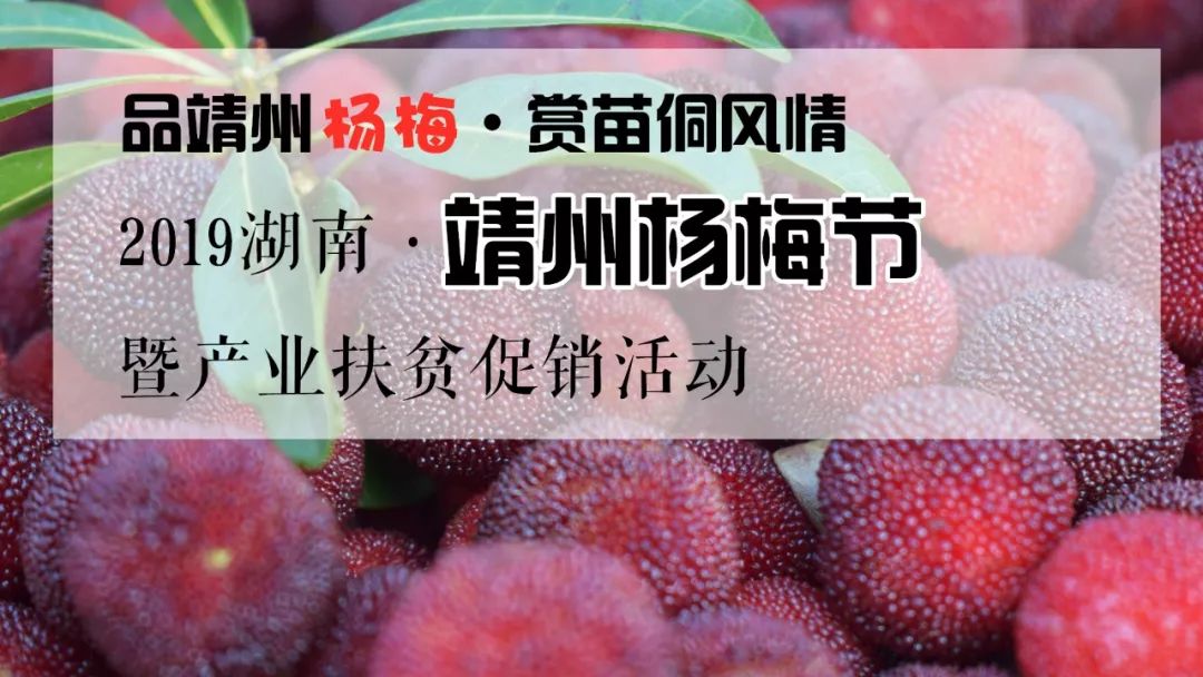 15日在坳上镇正式开幕暨产业扶贫促销活动2019年湖南靖州杨梅节6月6日