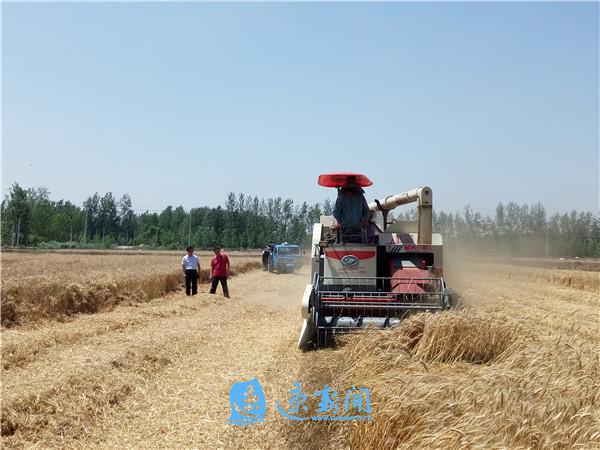 联合收割机多少钱1台 be3578384ef44d5ba3bb54e798360e28.jpeg