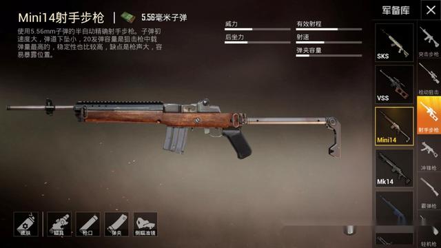 和平精英:单发伤害最高的枪,sks和slr没法比,只有大狙