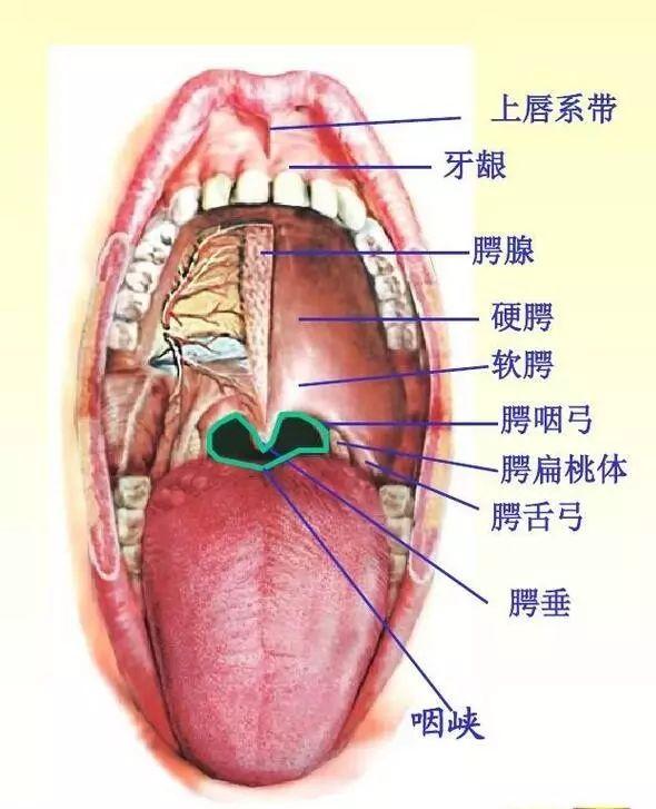                     孩子说幼儿园洗手的水很臭，家长一问，怒了