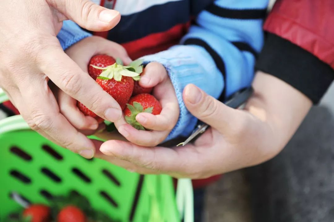 『我給孩子買了40塊一斤的草莓』媽媽的這個小決議影響孩子一生 親子 第2張