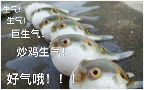 所谓情绪管理,不是叫你忍