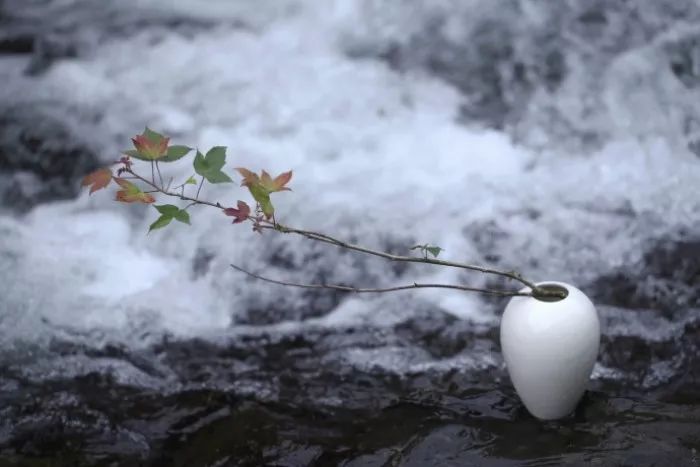 放过自己吧,别瞎想了