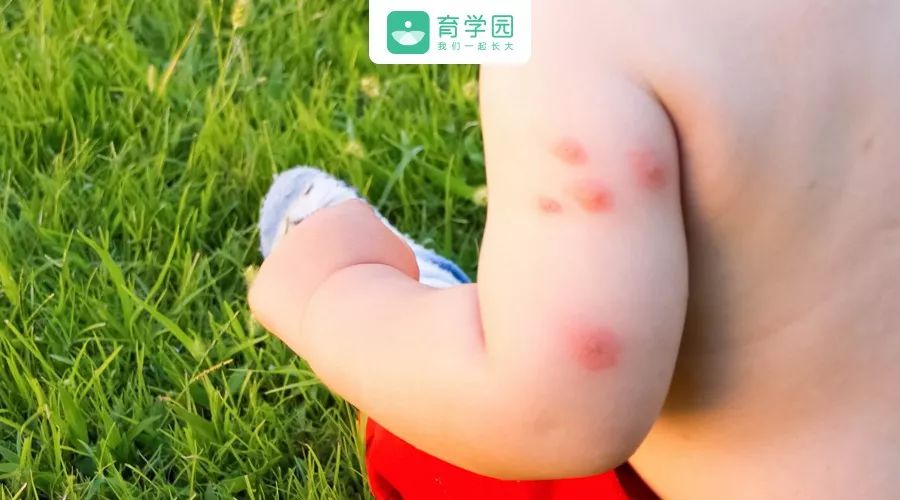                     驱蚊水终于选对了！ 4小时长效驱蚊，孕妇宝宝都能用！