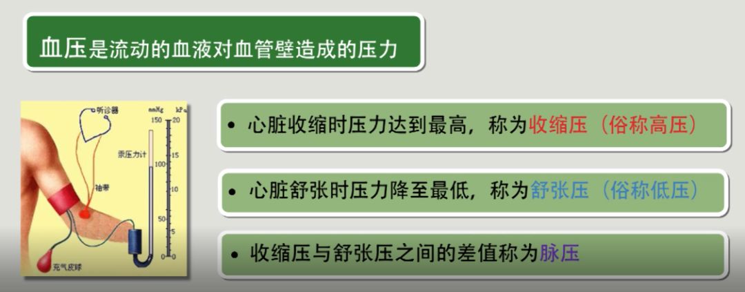 头条丨你了解自己的身体吗?成年人四大生命体征帮你解读身体的秘密!