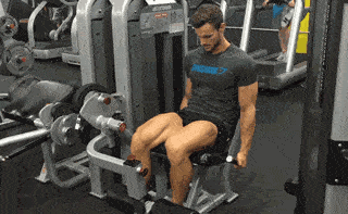 ffc041dfc76842a5a5f7c40082f37cab.gif