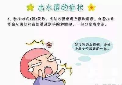 人民路小学预防水痘小知识