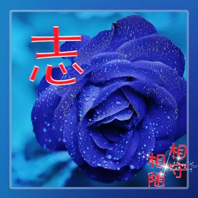 03c9ecdaf30a44e987bf50ec68936ba6.jpeg