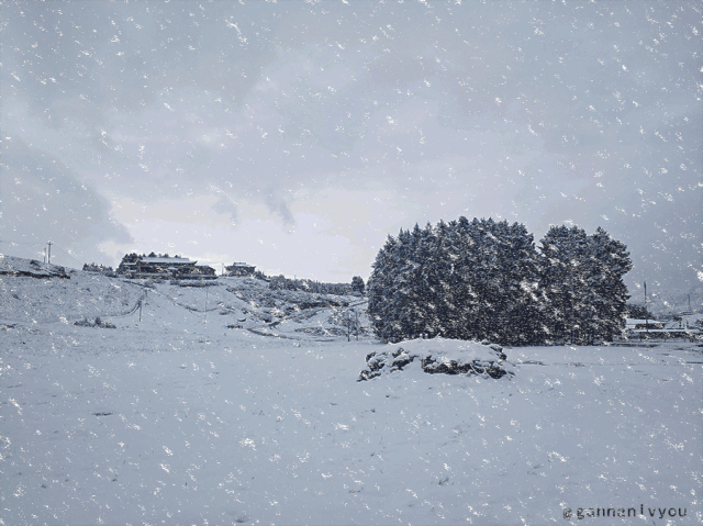 甘南遍地美景,在冬季时高海拔让这里天寒地冻,大雪纷飞,银装素裹