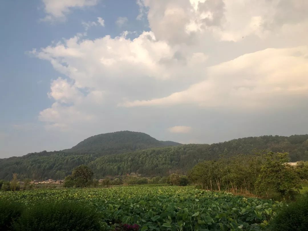 腾冲市各个乡镇GDP_中国 腾冲高黎贡山100英里超级越野赛报名 正式启动