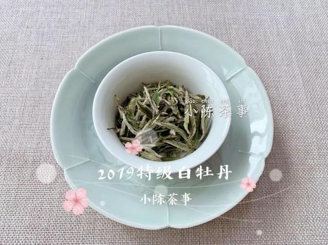 文章配图-6