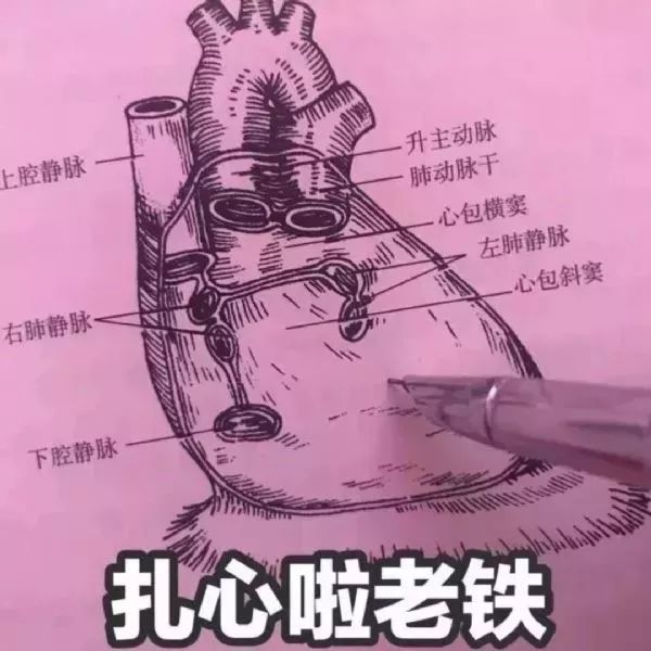 2f32a312ca6745488bb22a88229bd97e.jpeg