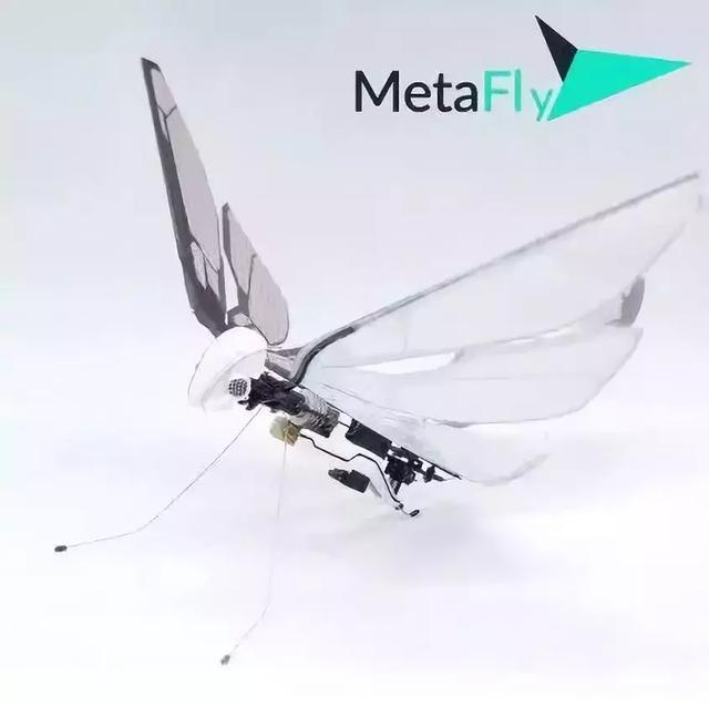 (图2,仿生无人机metafly) 一只长得像蝴蝶一样的仿生无人机.