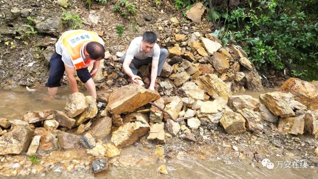 万安枫林至宝山路段出现20多处边坡坍塌和山体滑坡