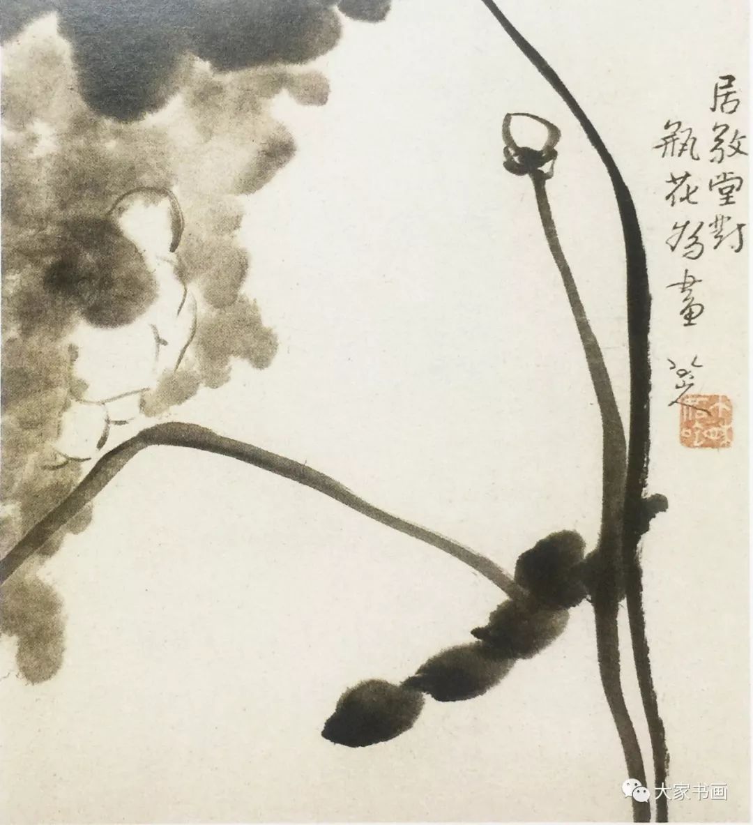 荷花(意笔)基础画法