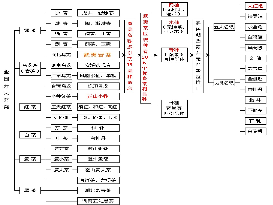 中国六大茶类