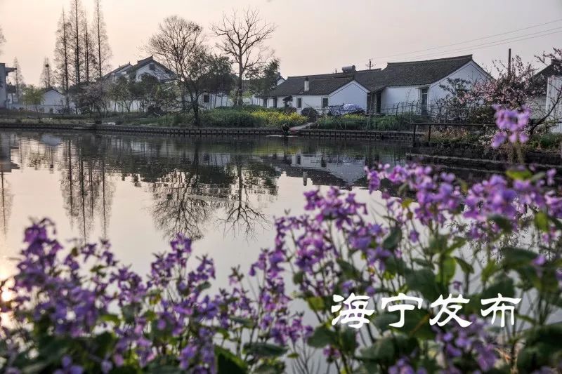 海宁214个村社区被命名通报