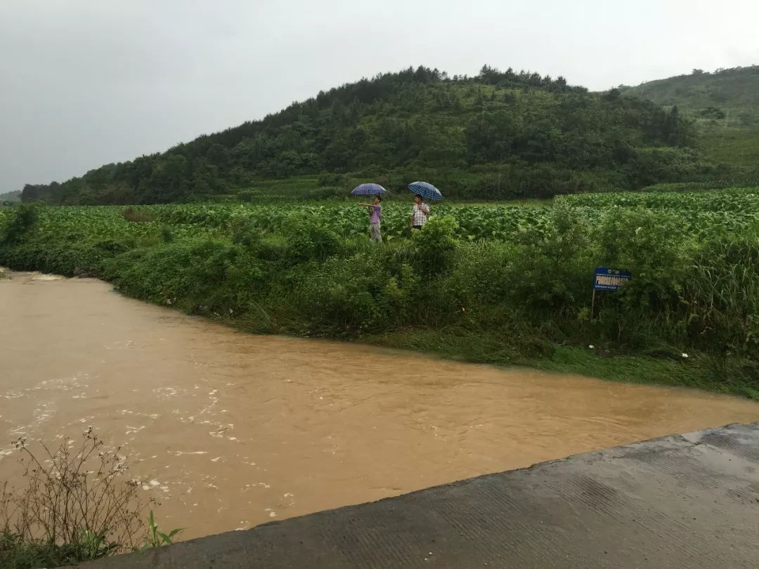 怎雷村的人口_人口普查(3)