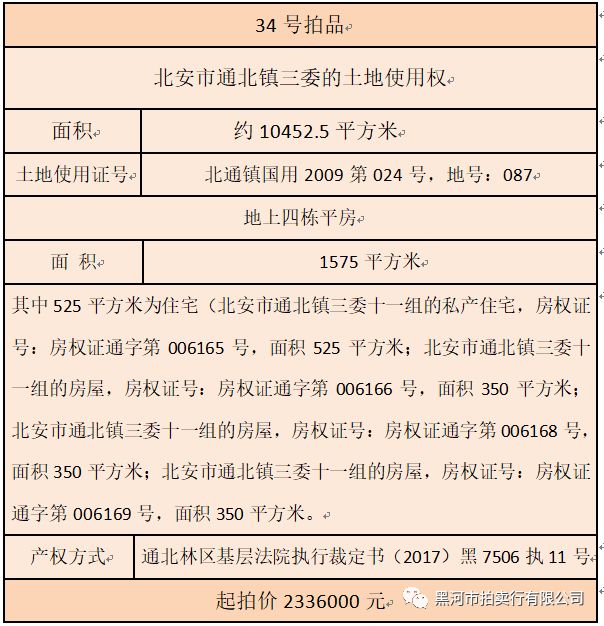 土地使用权拍卖