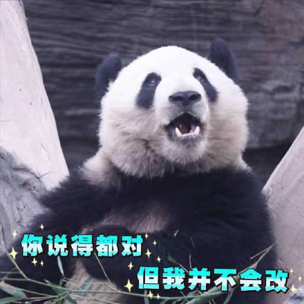 51068dda4b774b07b7351cf475de6934.jpeg