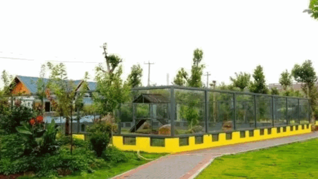 640_361gif 动态图 动图