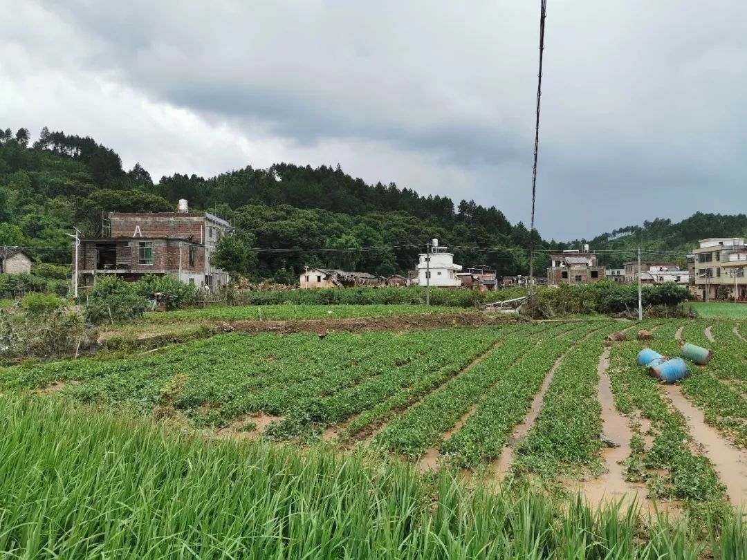 从航拍画面可以看到,连平县上坪镇已经成了一片泽国.