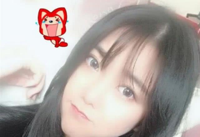 一只小团团为什么这么火?用颜值换智商,网友:擅长控表情包