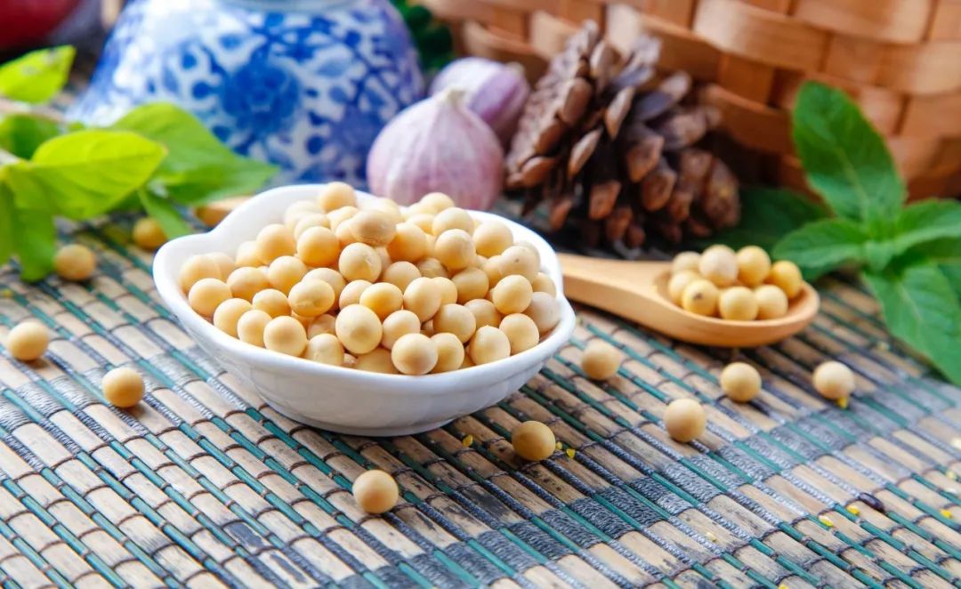 大豆美容的效果原理是什么_大豆是什么豆图片