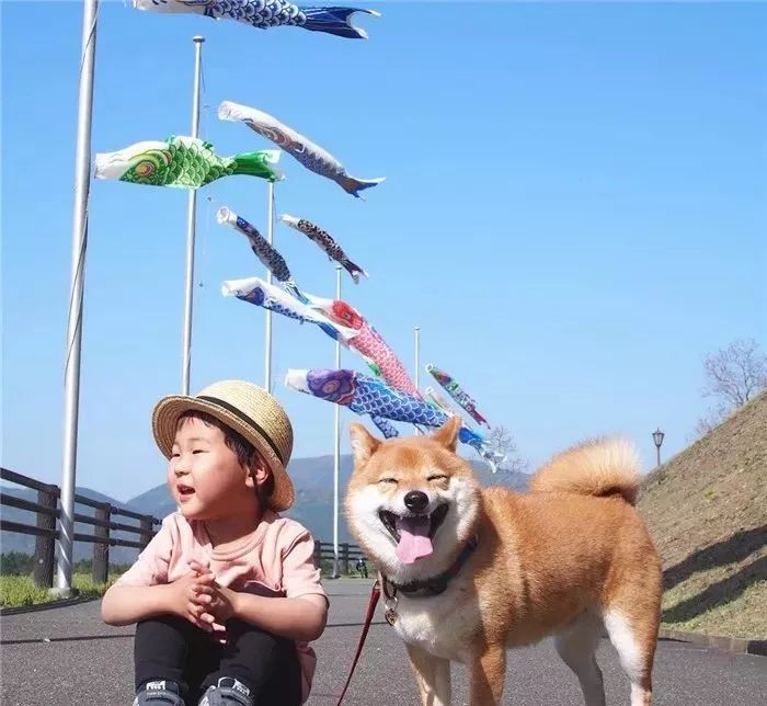 68f04b2cf05d409696587ce1b60b1091.jpeg