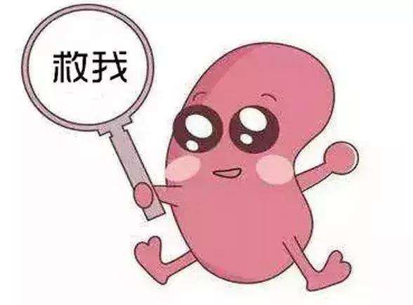 6970cf0fdf4c4dc1b8c96dbdb276bed6.jpeg