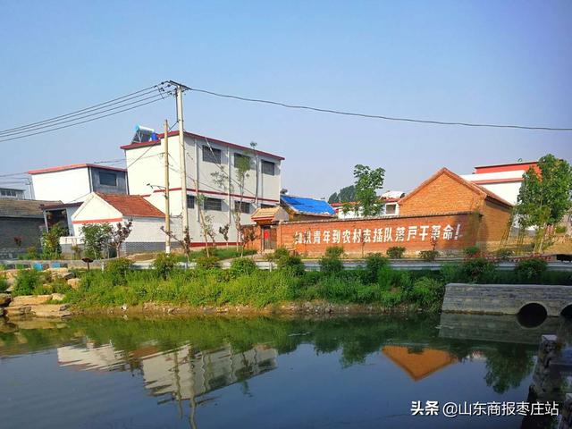 薛城区常庄镇描绘美丽乡村"最靓颜值"助力生态振兴