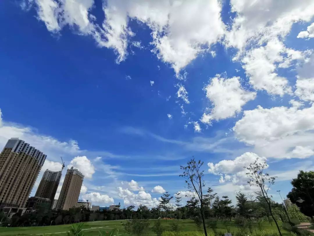 为了方便大家出游 雨水君很识趣 长假三天消失得无影无踪 艳阳高照 你