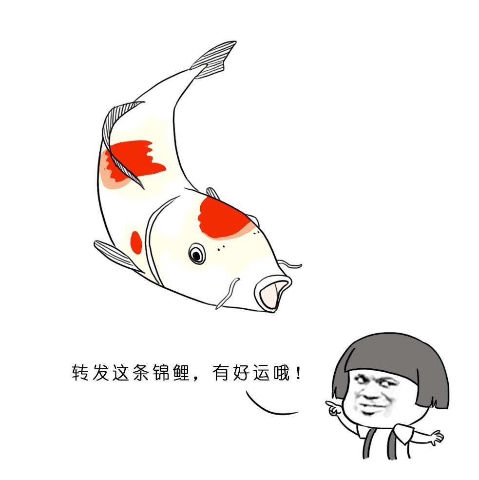 7778a3b55d2e44029ddcdf121c9262c5.jpeg