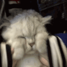 79435fe940024b2f80c9cbb9ae63523e.gif