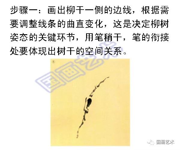 图文教程:柳树画法详解_柳叶