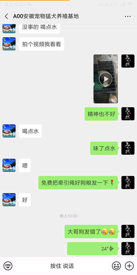 网上买狗被骗了怎么办