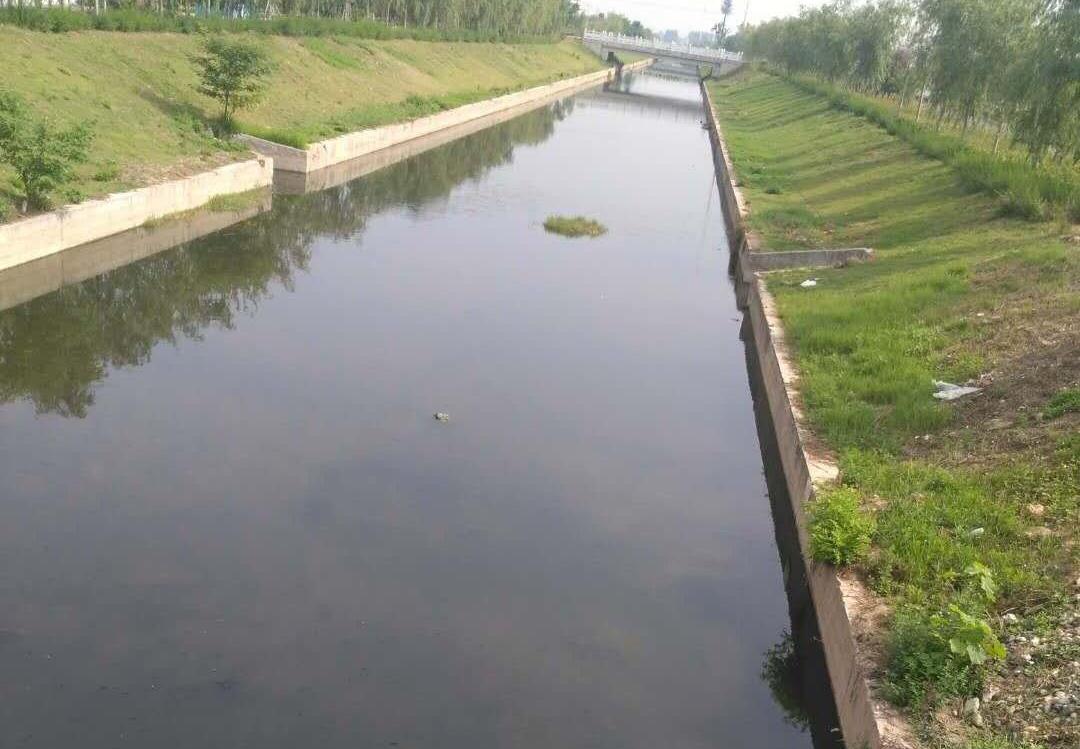 樊城区水利局开展大李沟河道清理