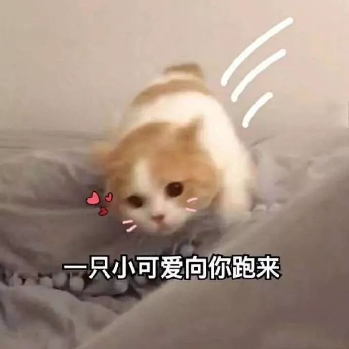 失踪人口表情包_失踪人口(2)