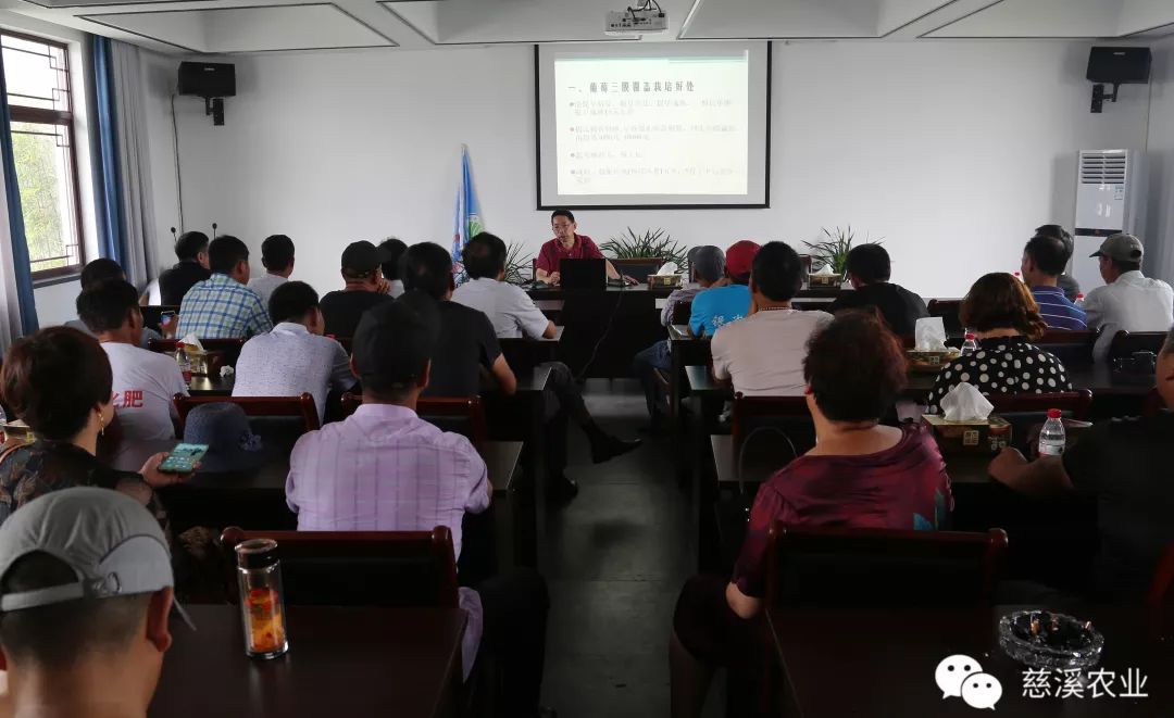 慈溪市农业农村局副局长潘海明,市林特技术推广中心研究员王立如,农安