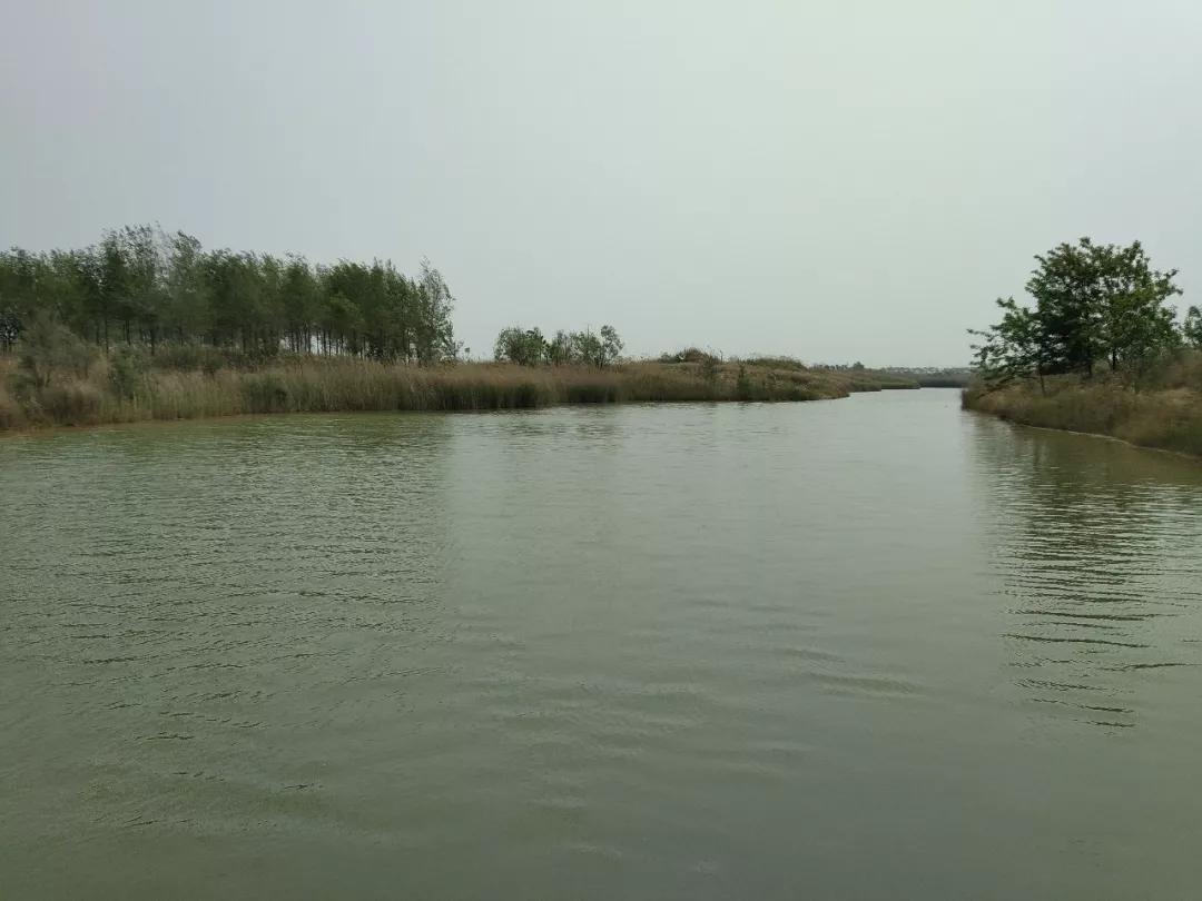 的种种欢乐与童趣…江北水城宜养神州马颊河生态旅游度假区建成后