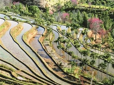 红河县人口_2018年红河州各市县:人口、面积、经济排名,弥勒还是老大哥市排第