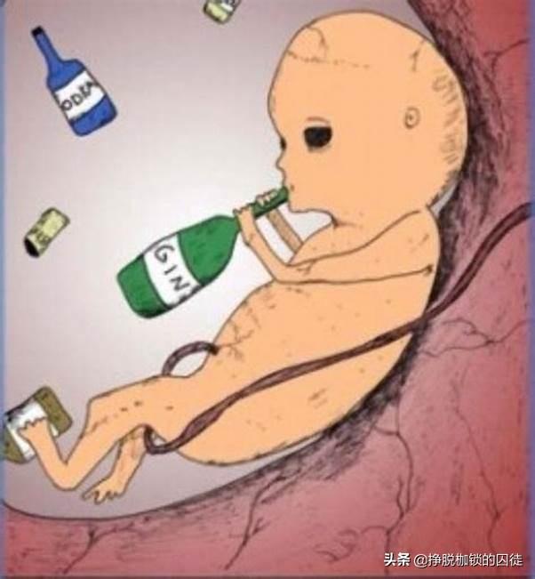 喝酒不怀孕前一句