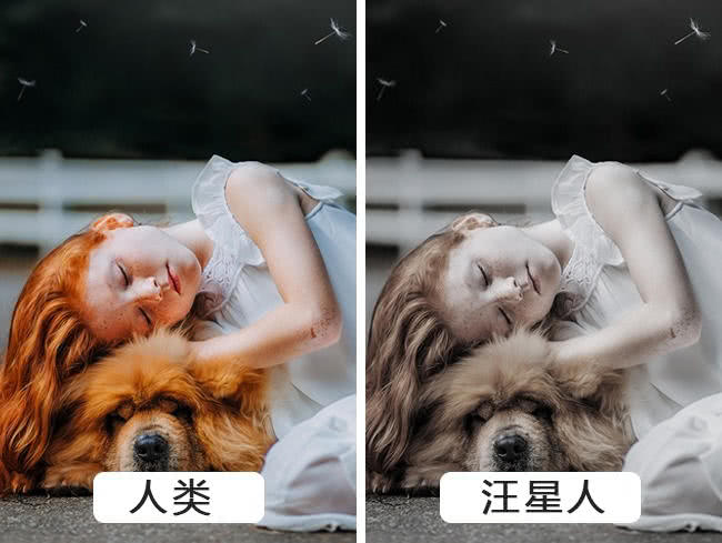 (凡人视角,才是我们通常看世界的方式,熟悉